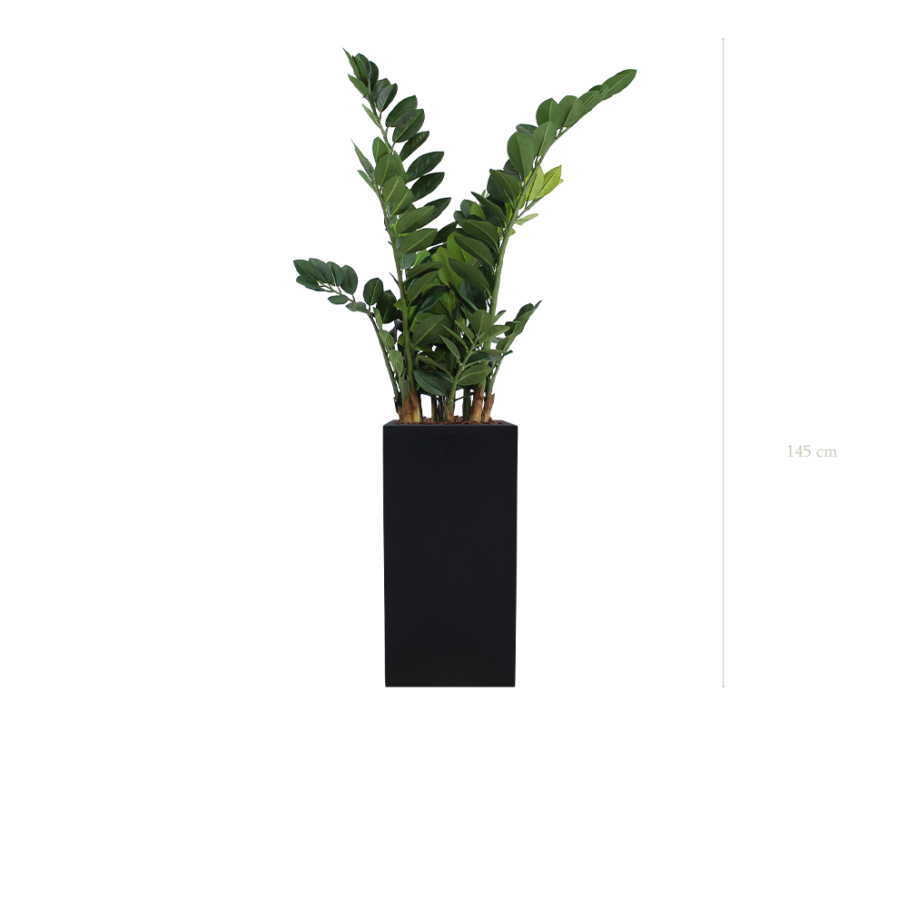 Le Zamia - Cube Haut Noir - Artificiel