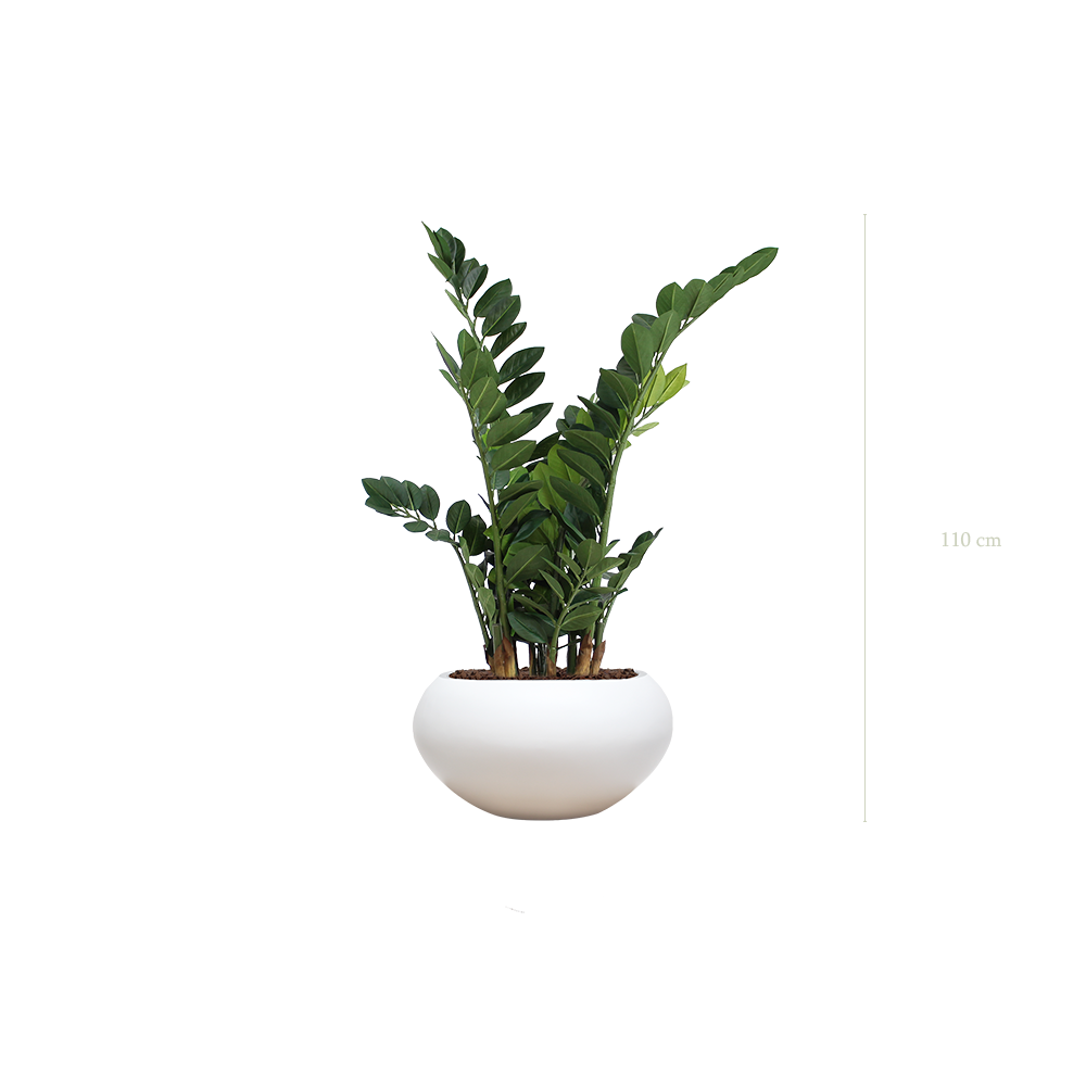 Le Zamia - Pot Ovale Blanc - Artificiel