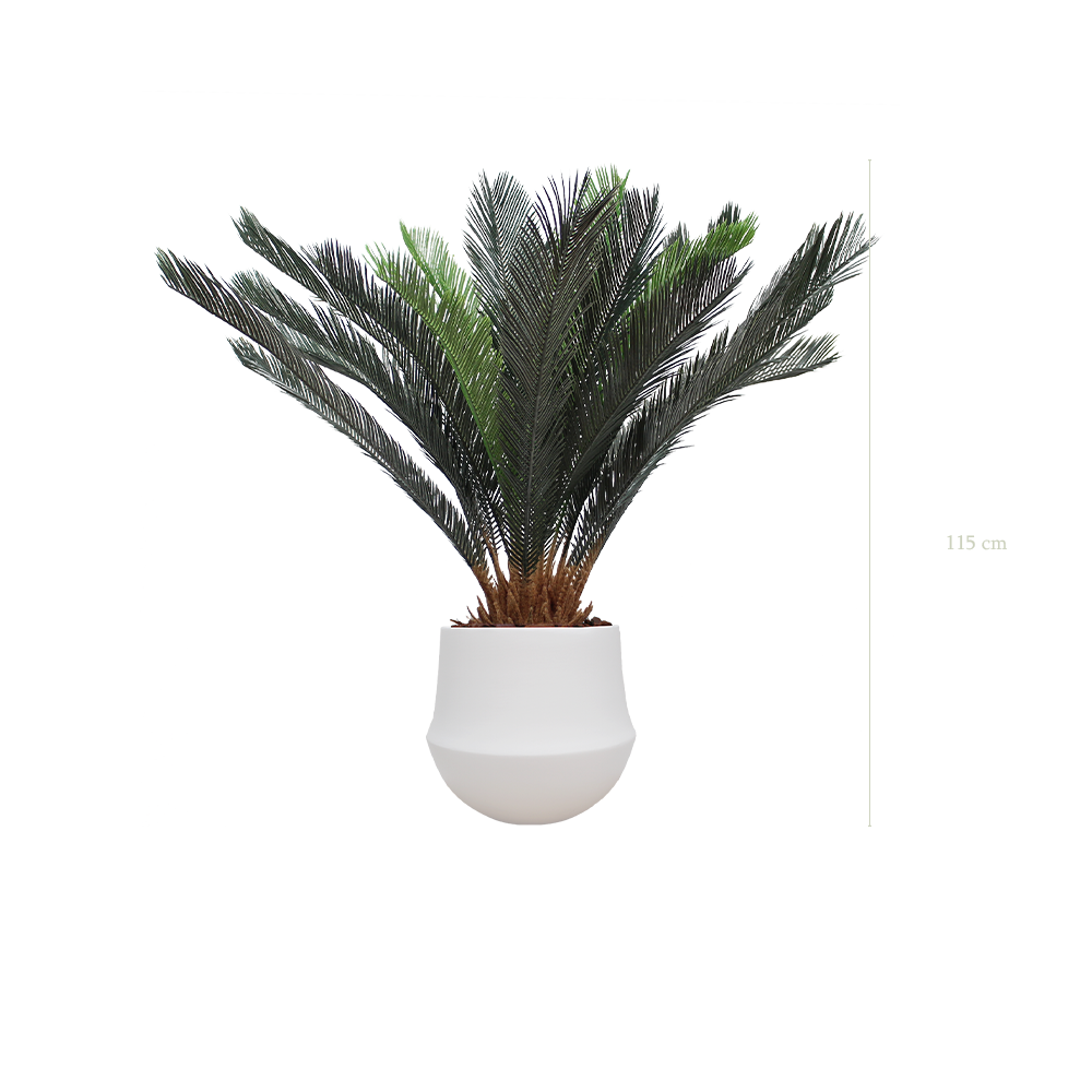 The Cycas – White Round Pot #Artificial