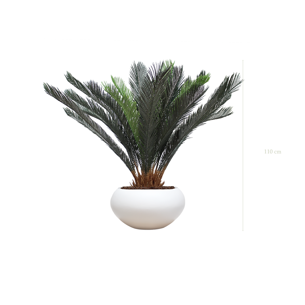 Le Cycas - Pot Ovale Blanc - Artificiel