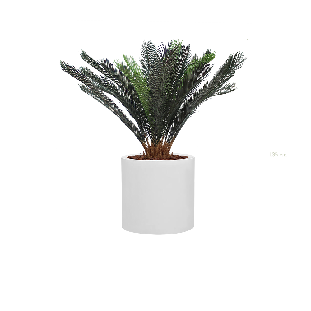 Le Cycas - Cylindre Blanc - Artificiel