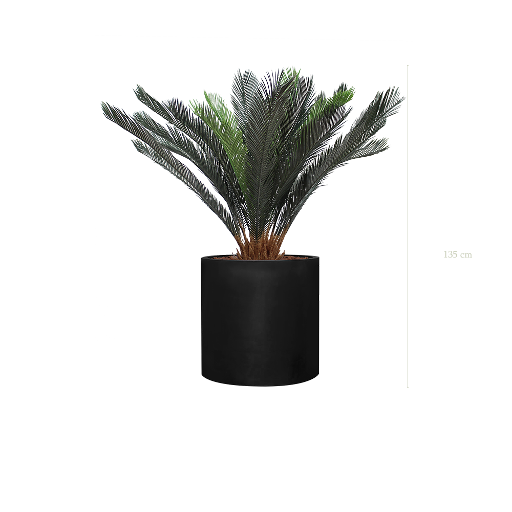 The Cycas in a black cylinder pot #Artificial