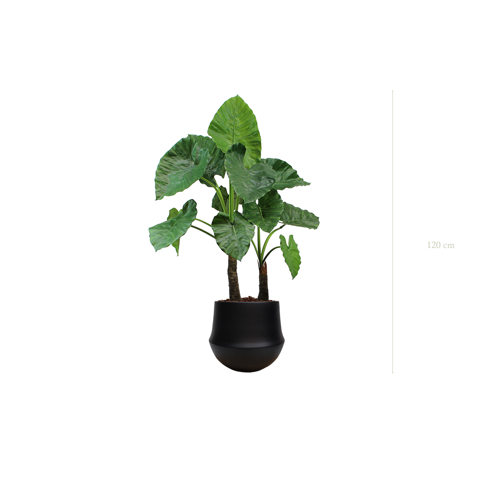 Le Grand Alocasia - Pot Rond Noir - Artificiel