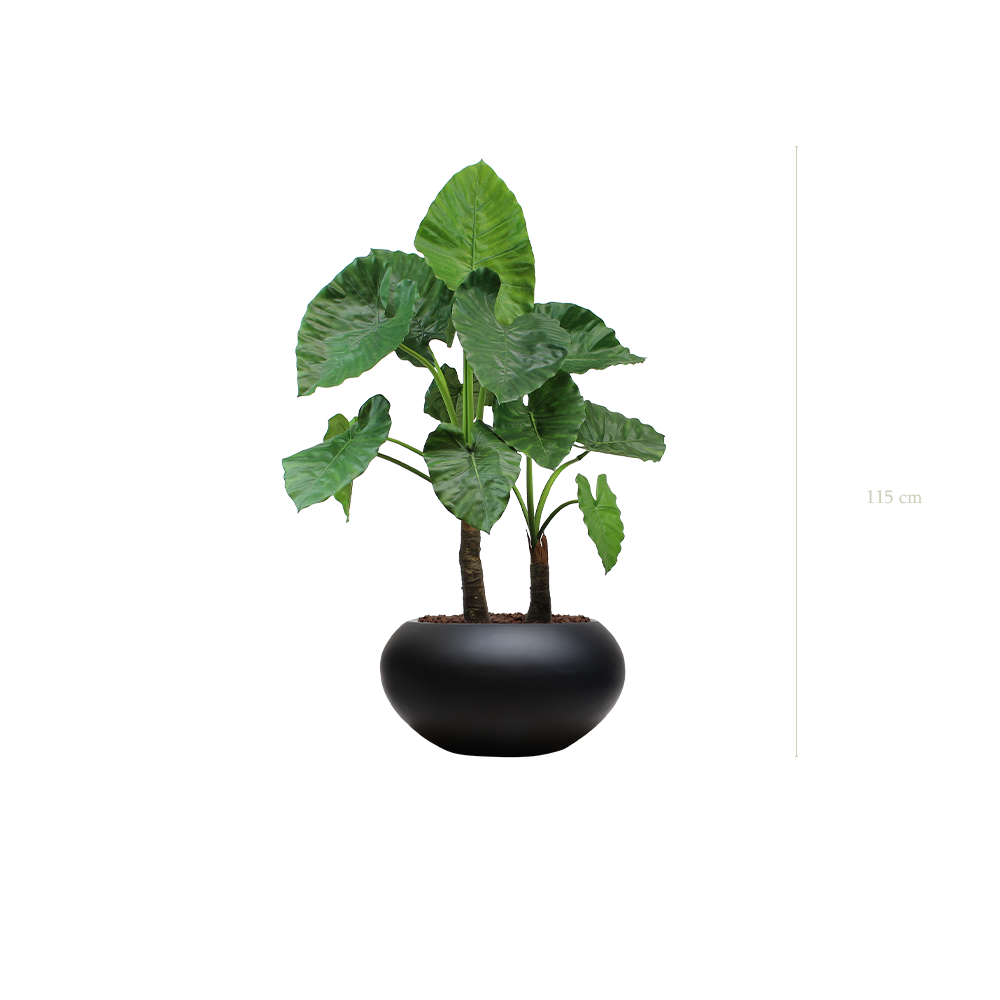 Le Grand Alocasia - Pot Ovale Noir - Artificiel