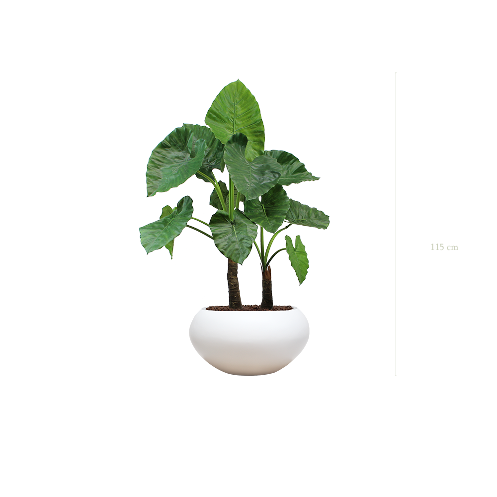 Le Grand Alocasia - Pot Ovale Blanc - Artificiel