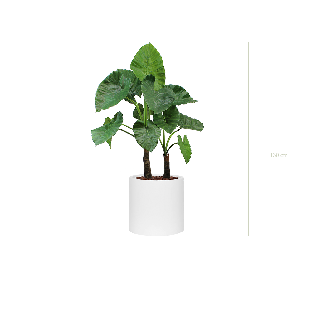 Le Grand Alocasia - Cylindre Blanc - Artificiel