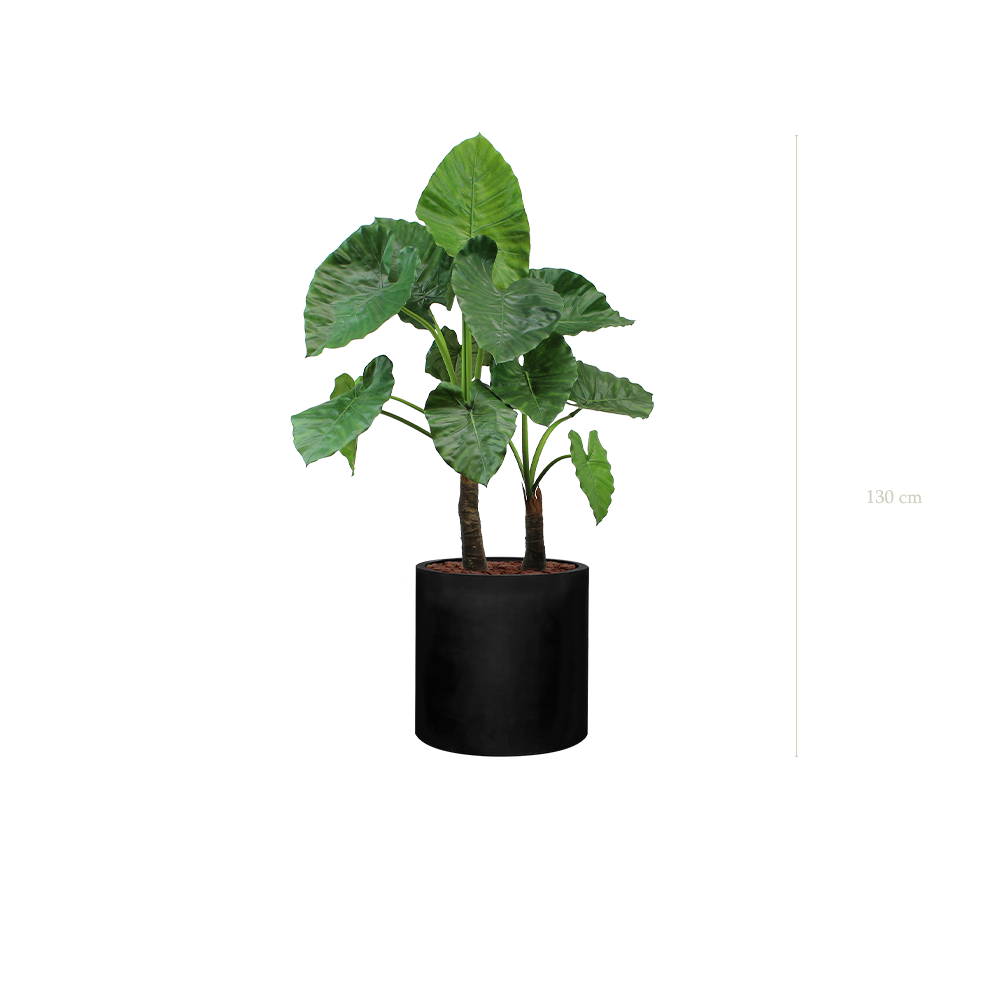 Le Grand Alocasia - Cylindre Noir - Artificiel