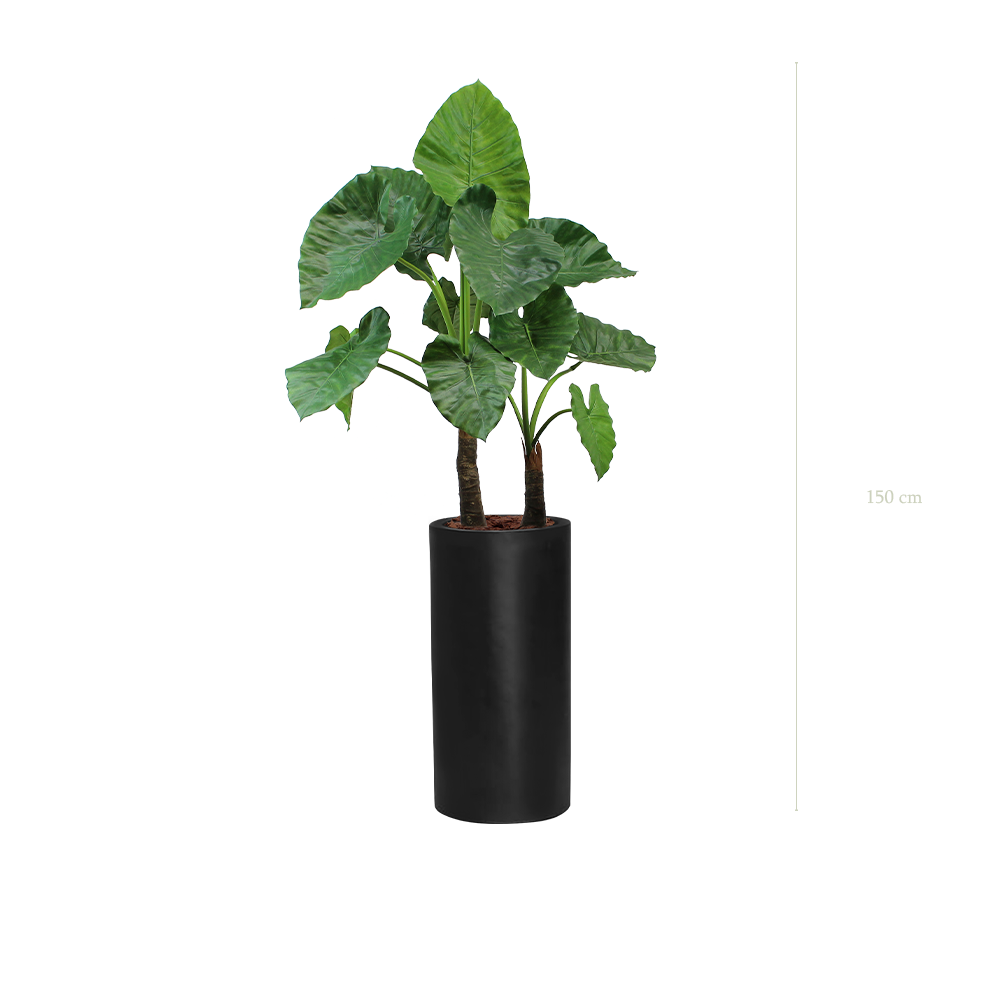 The Large Alocasia in a tall black cylinder pot #Artificial