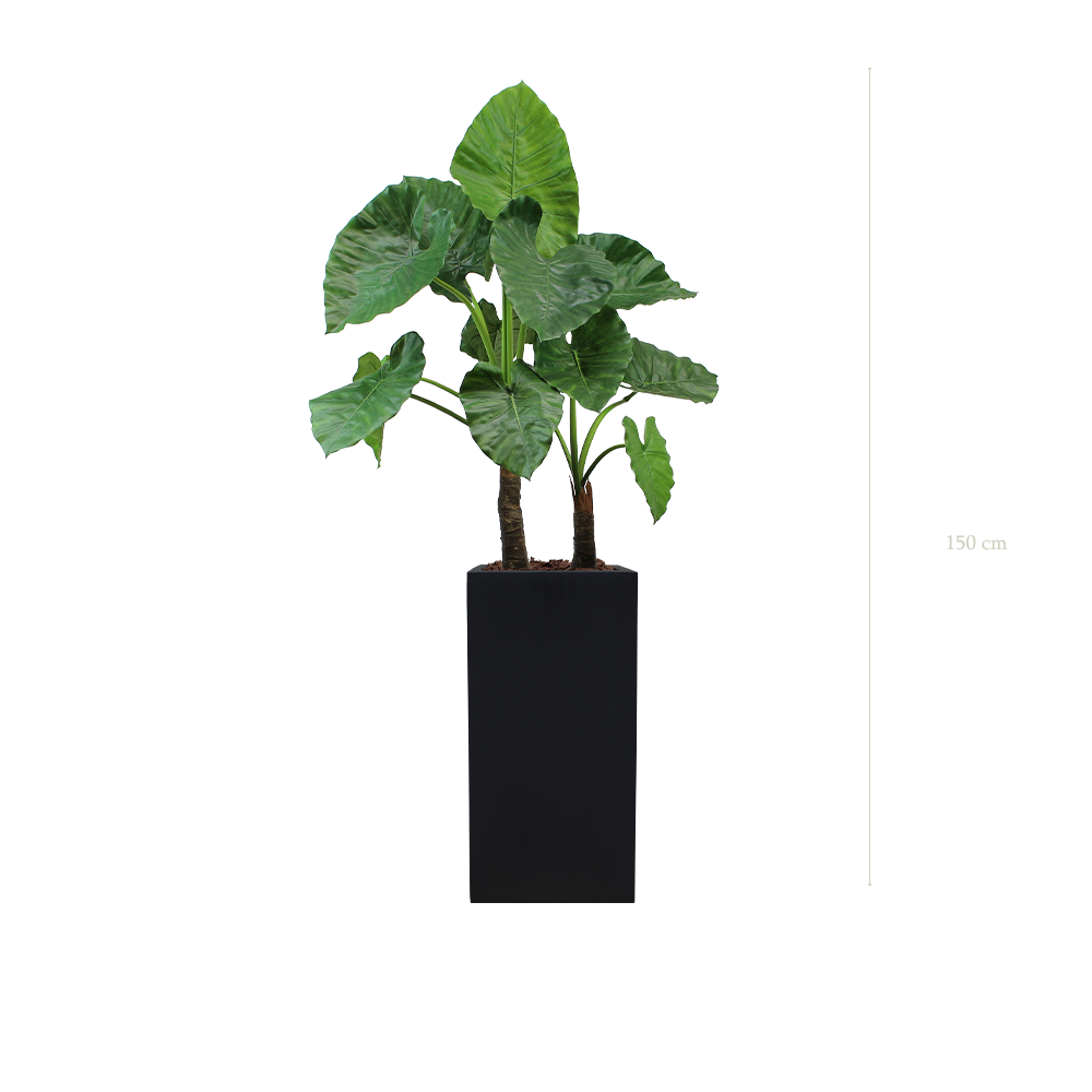 Le Grand Alocasia - Cube Haut Noir - Artificiel