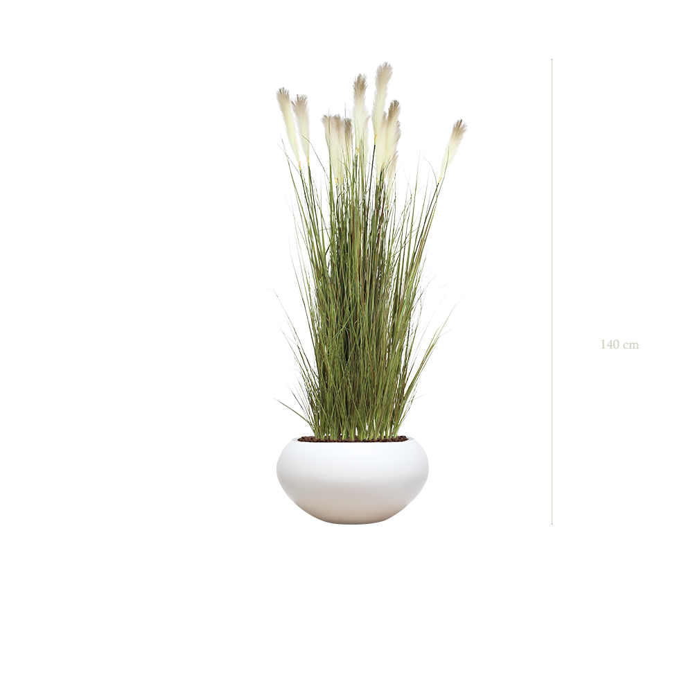 La Pampa - Pot Ovale Blanc - Artificiel