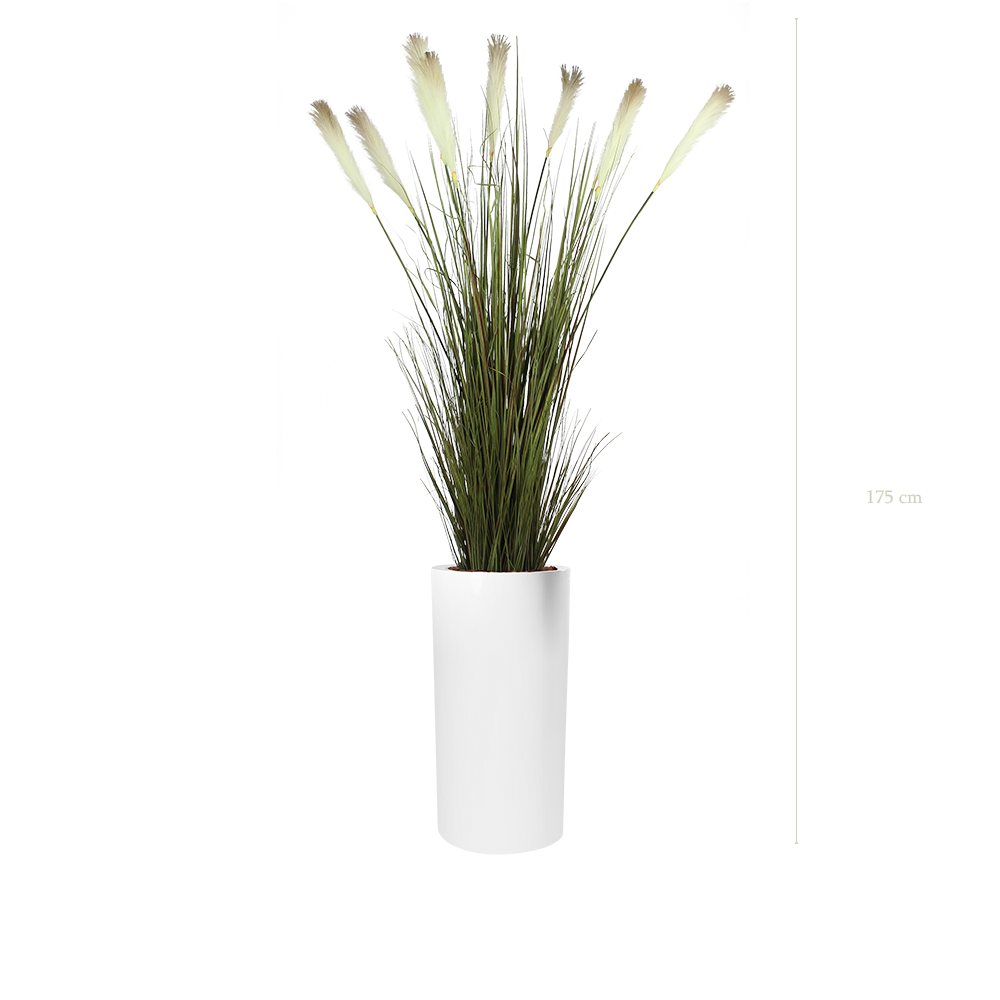 La Pampa - Cylindre Haut Blanc - Artificiel