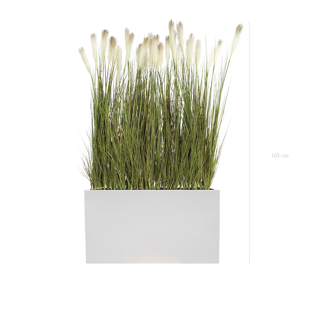 Séparateur S. Pampas - Bac Blanc - Artificiel