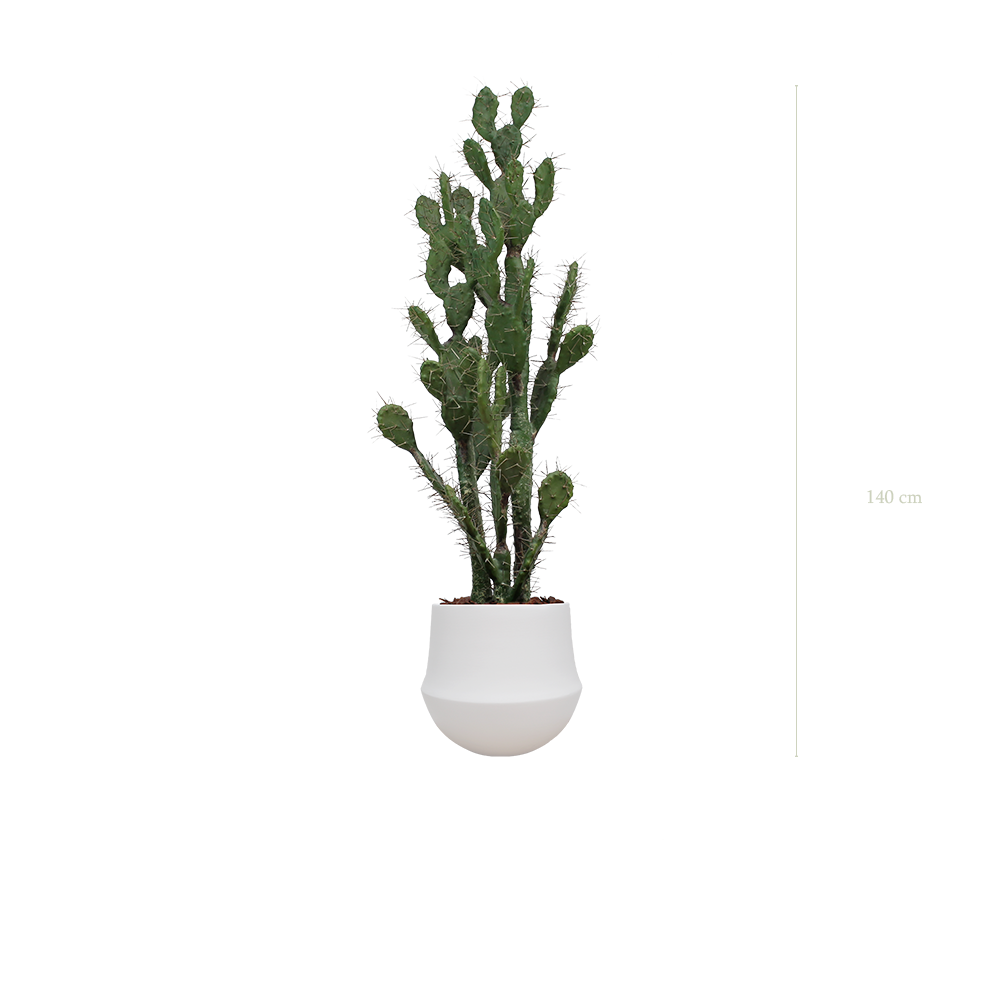 Le Cactus - Pot Rond Blanc - Artificiel