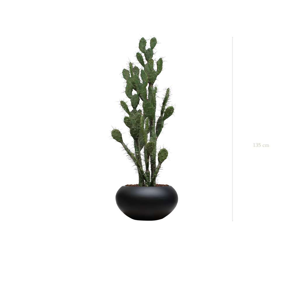 Le Cactus - Pot Ovale Noir - Artificiel