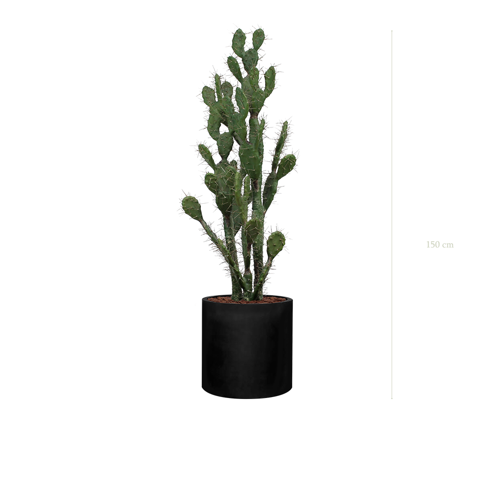 Le Cactus - Cylindre Noir - Artificiel