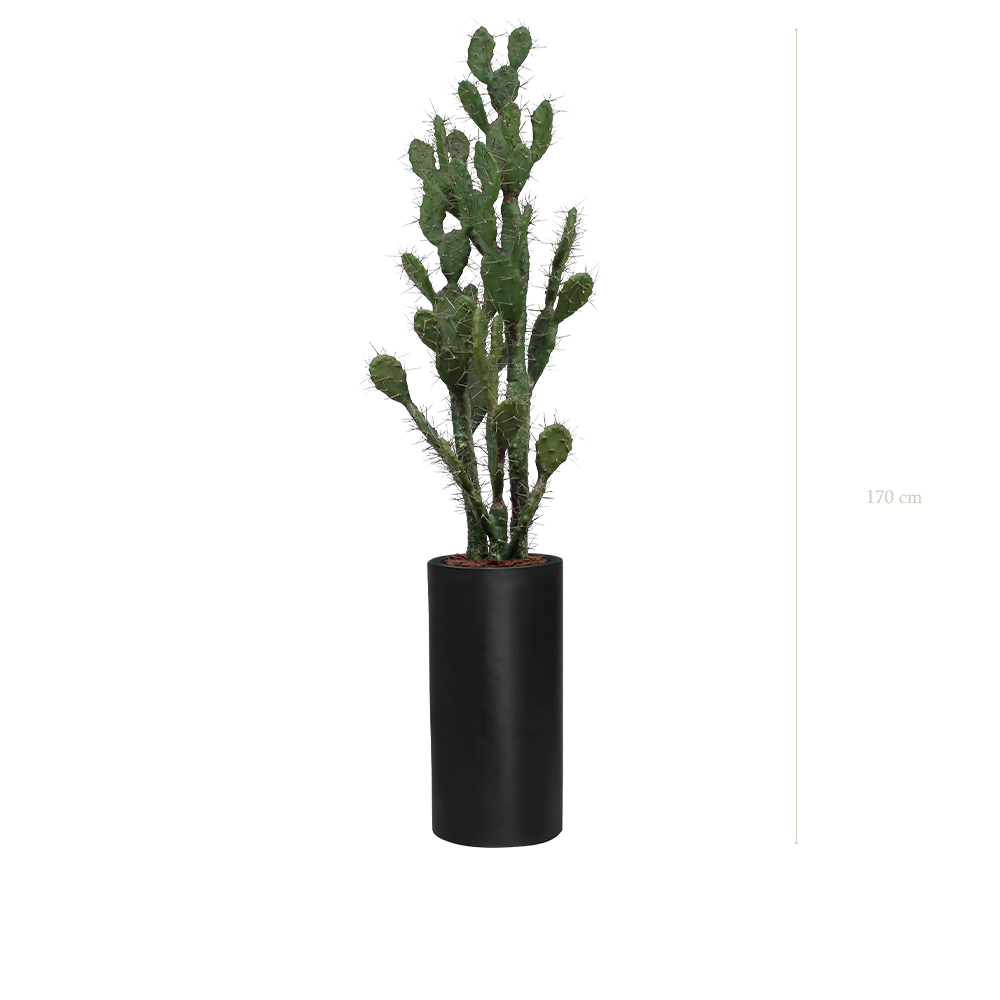 Le Cactus - Cylindre Haut Noir - Artificiel