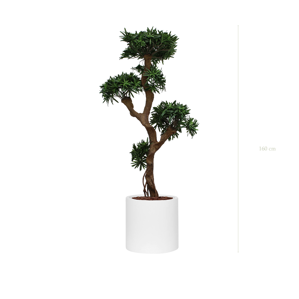 Der Podocarpus – Weißer Zylinder Topftopf #Künstlich