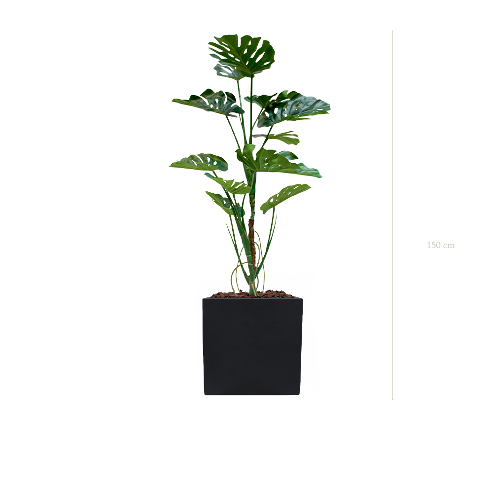 The Monstera in a black cube pot #Artificial