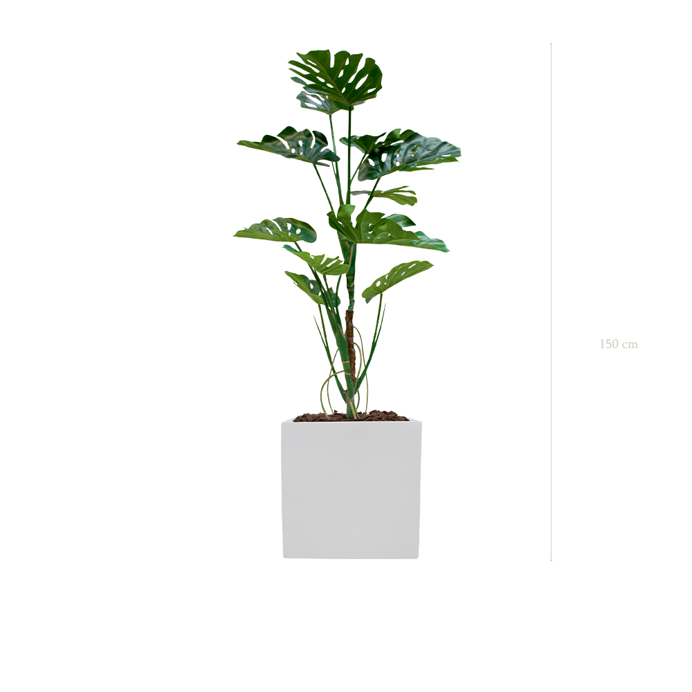 La Monstera - Cube Blanc - Artificiel