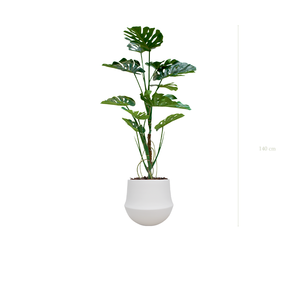 La Monstera - Pot Rond Blanc - Artificiel