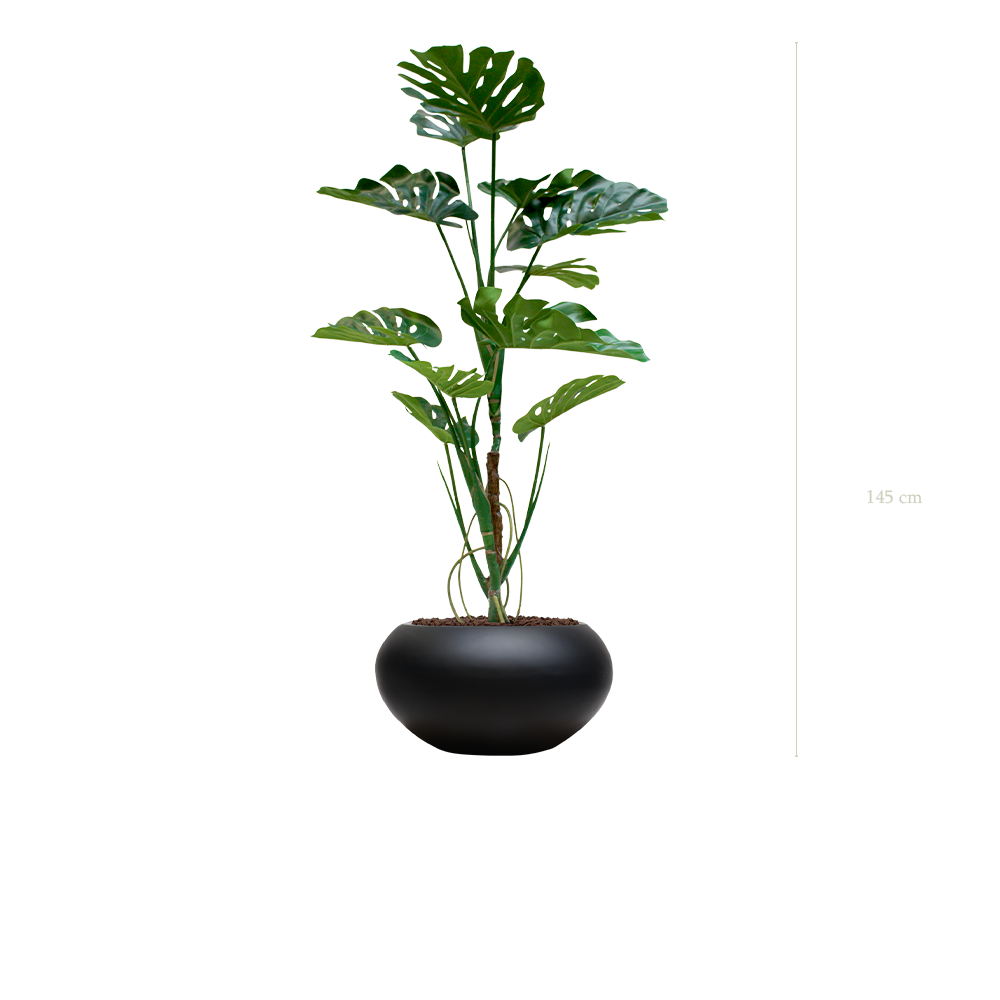 The Monstera in a black oval pot #Artificial