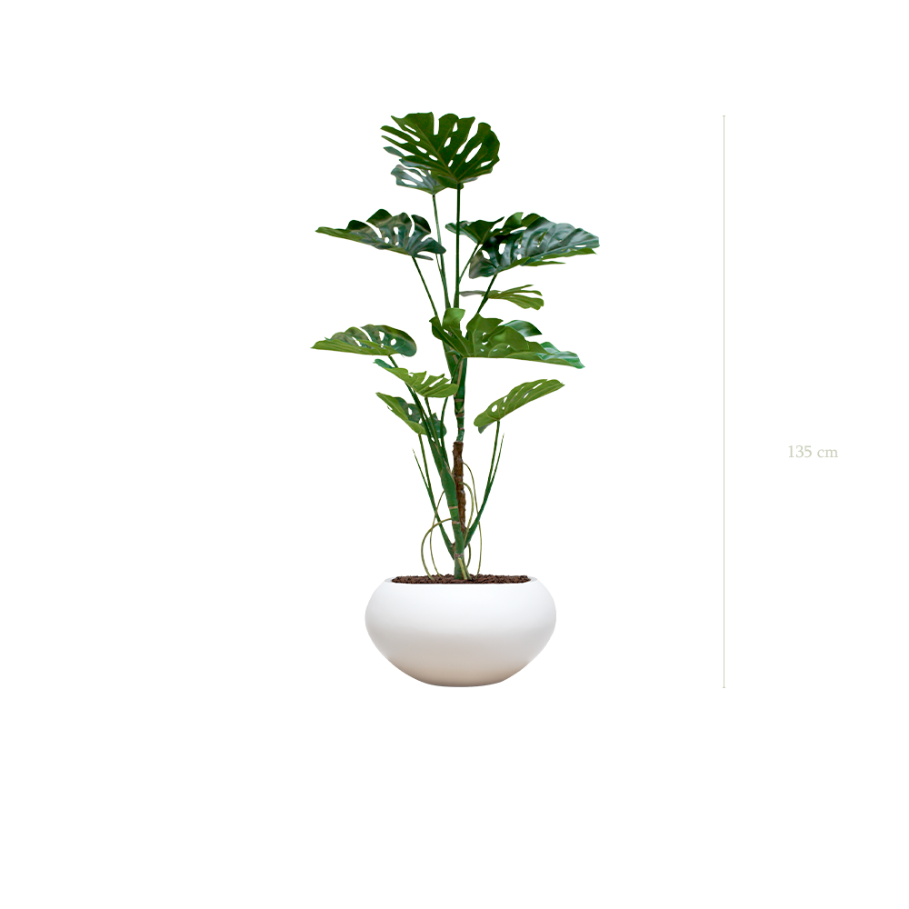 La Monstera - Pot Ovale Blanc - Artificiel