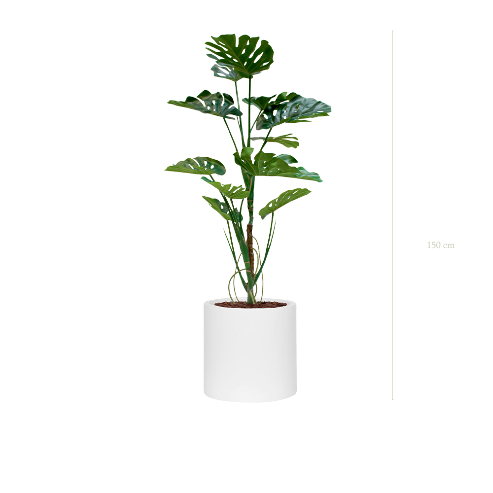 La Monstera - Cylindre Blanc - Artificiel