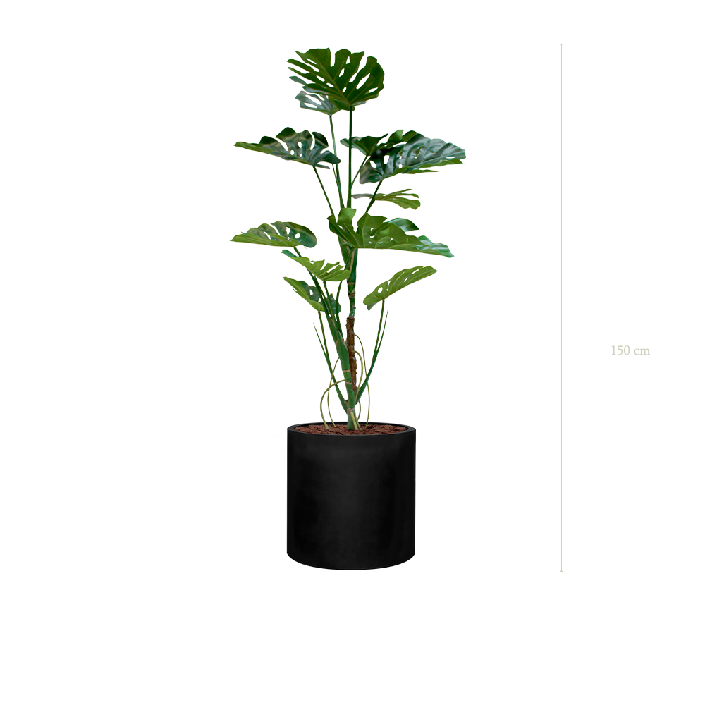 La Monstera - Cylindre Noir - Artificiel