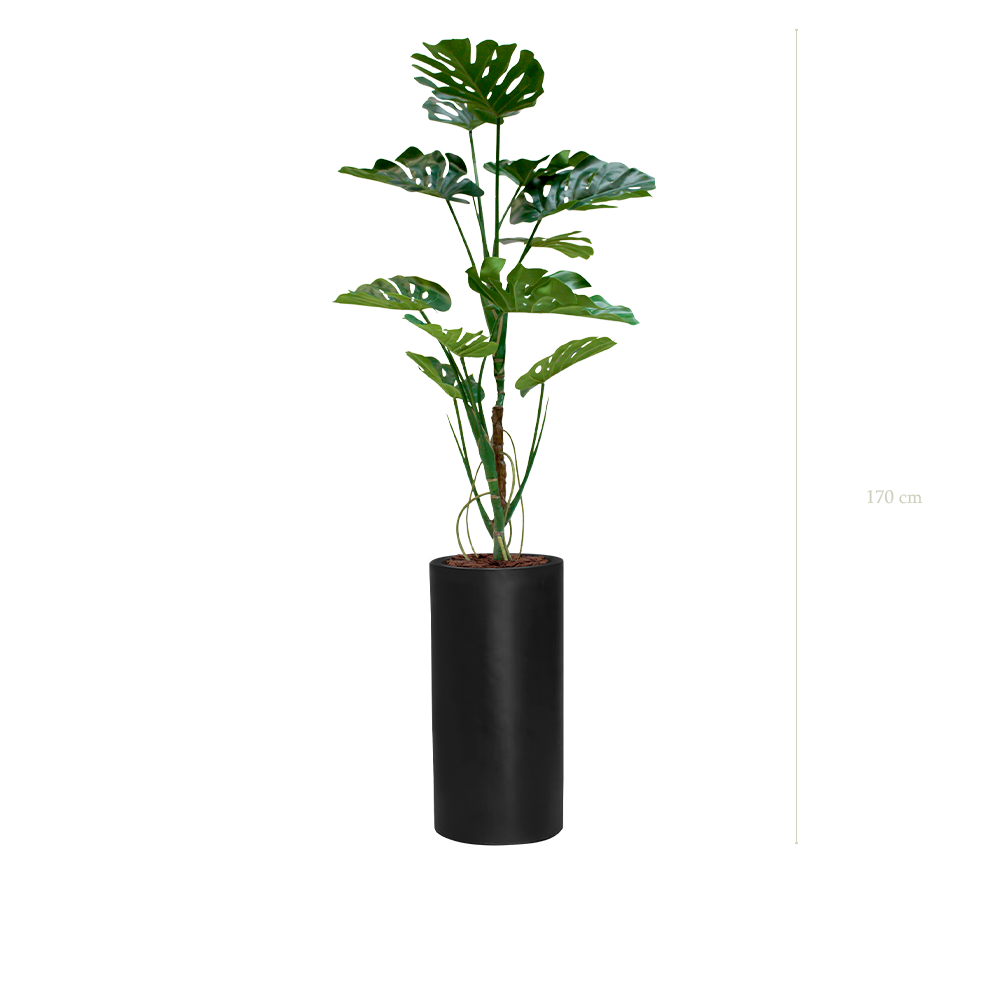 La Monstera - Cylindre Haut Noir - Artificiel