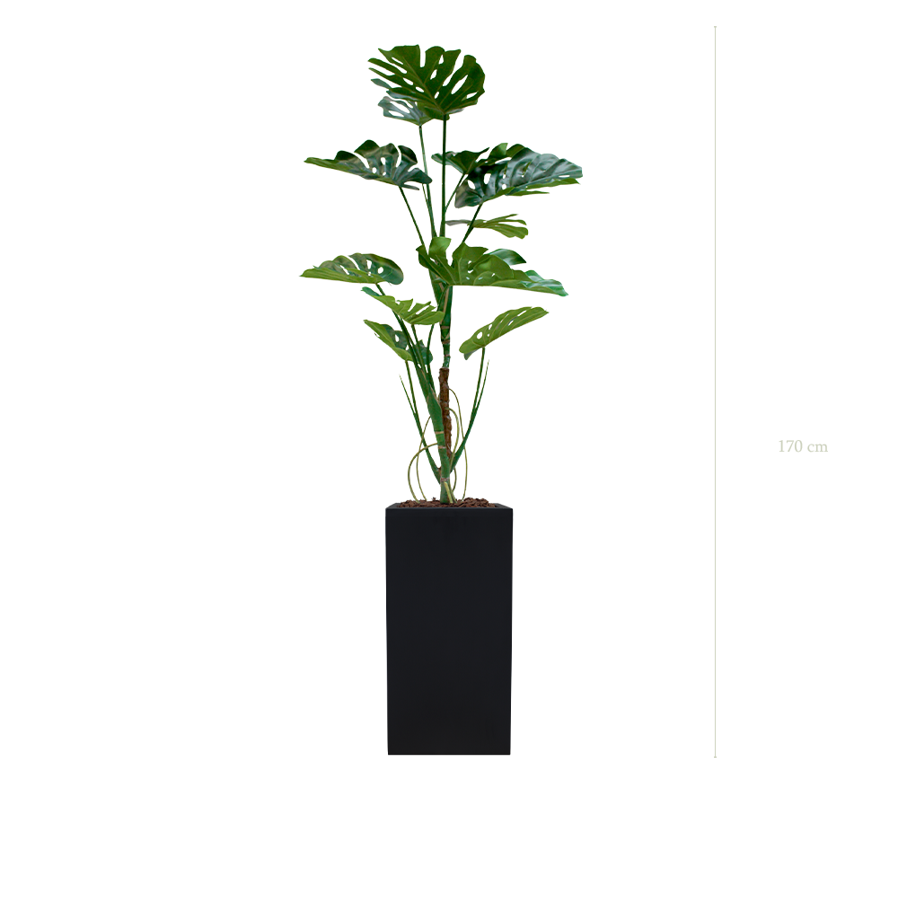 La Monstera - Cube Haut Noir - Artificiel