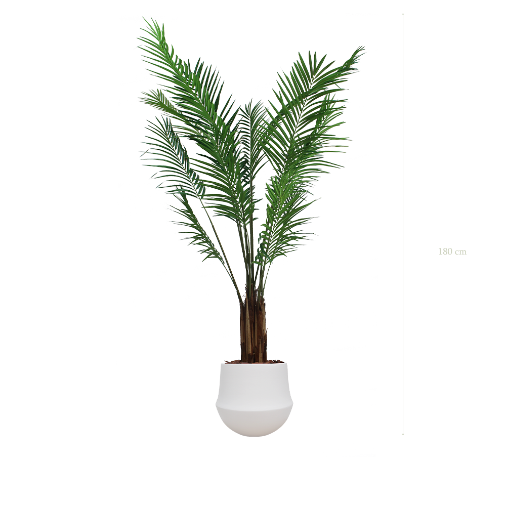L'Areca - Pot Rond Blanc - Semi-Naturel