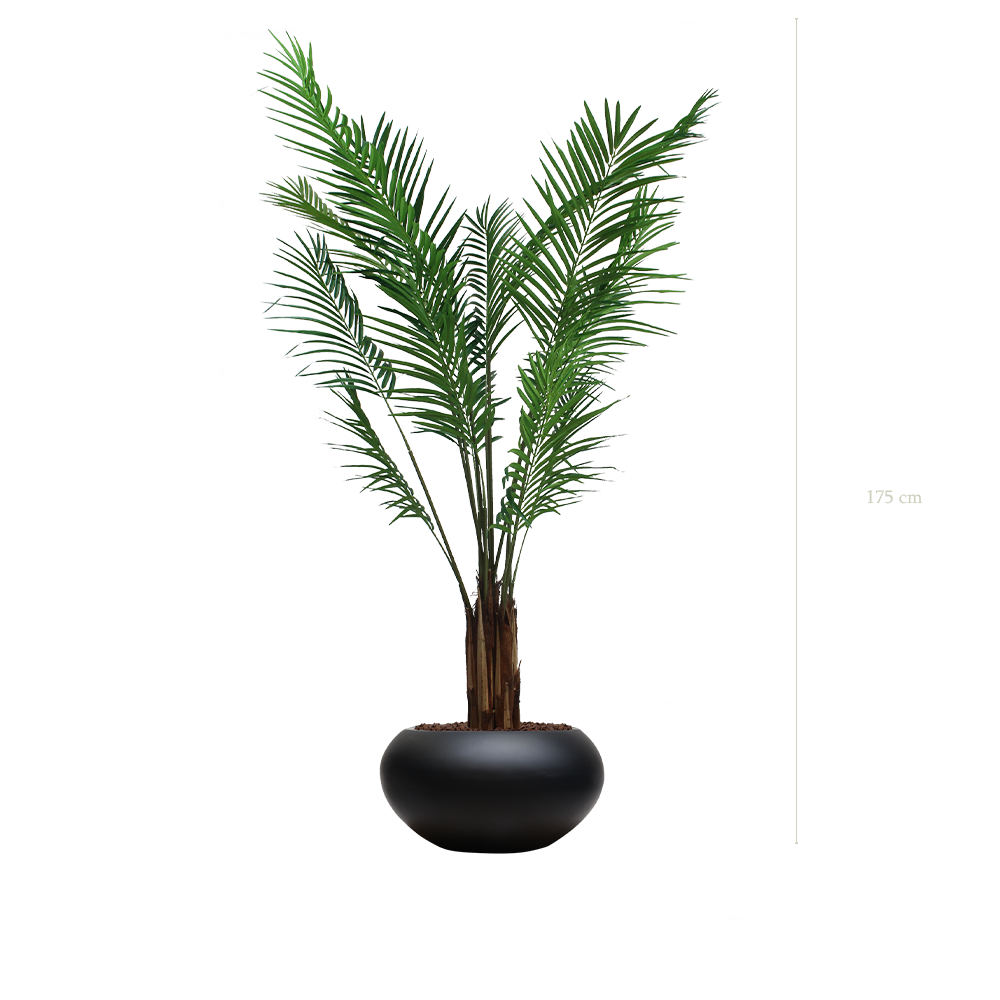 L'Areca - Pot Ovale Noir - Semi-Naturel