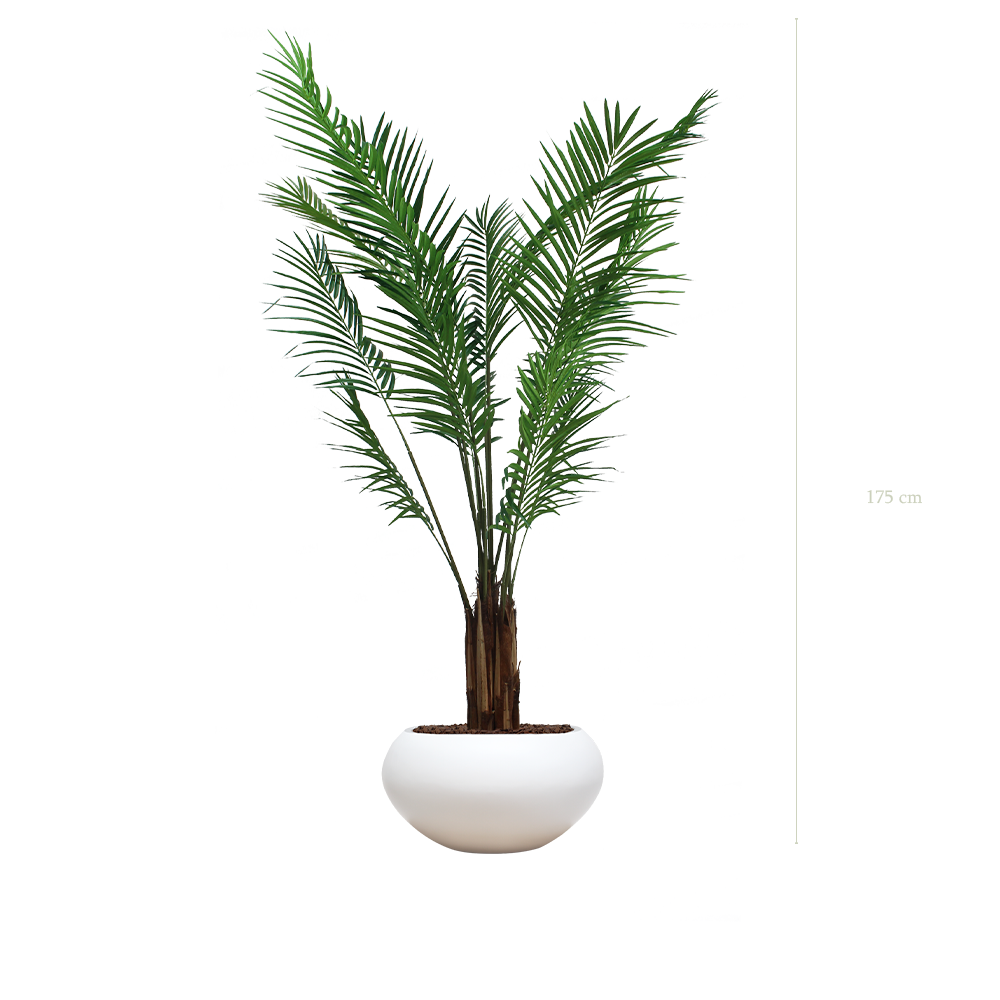 L'Areca - Pot Ovale Blanc - Semi-Naturel