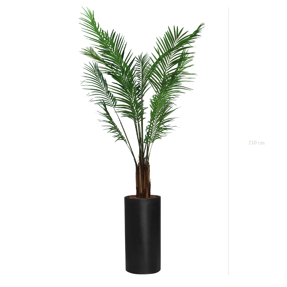 L'Areca - Cylindre Haut Noir - Semi-Naturel