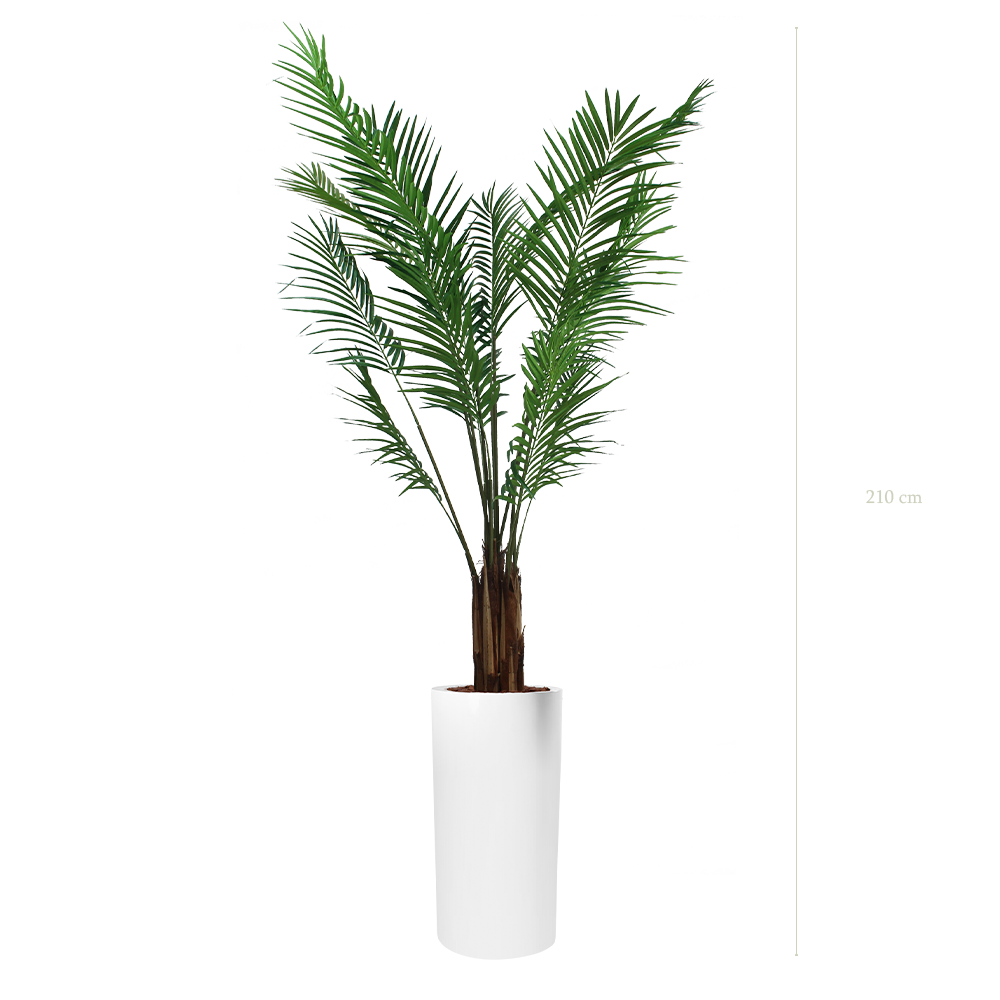 L'Areca - Cylindre Haut Blanc - Semi-Naturel