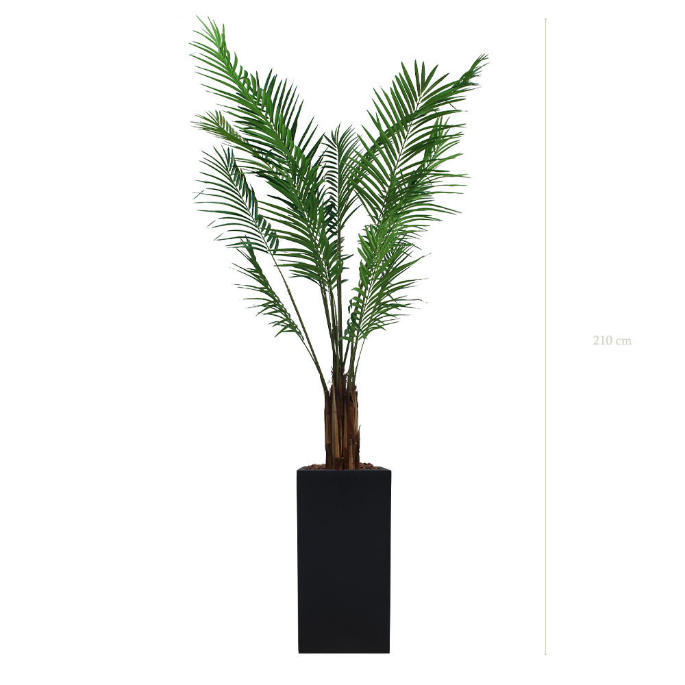 L'Areca - Cube Haut Noir - Semi-Naturel