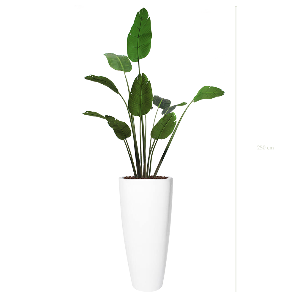 Le Bananier - Pot Haut Blanc - Artificiel