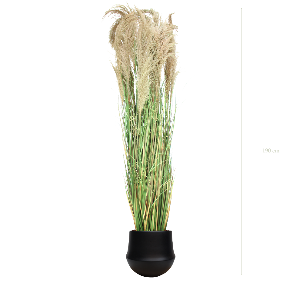 La Grande Pampa - Pot Rond Noir - Semi-naturel