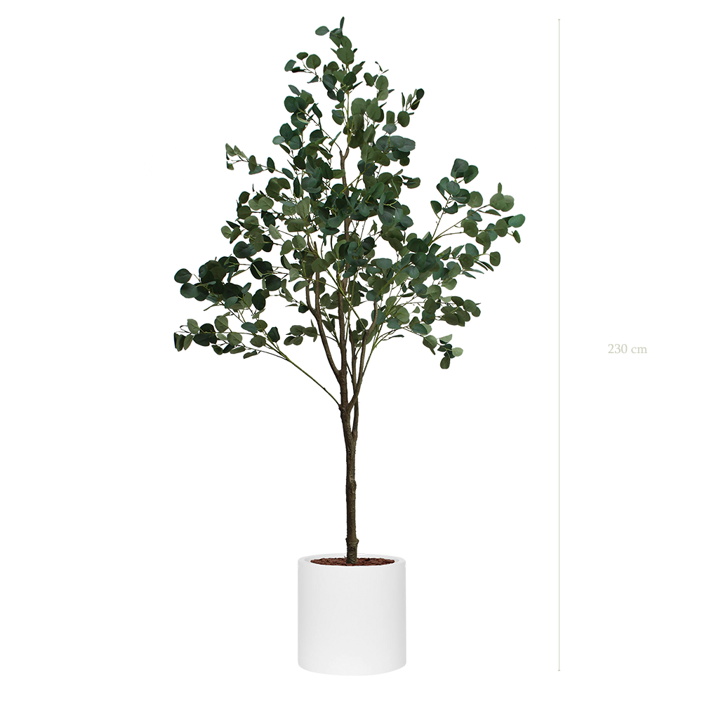 L'Eucalyptus - Cylindre Blanc - Artificiel