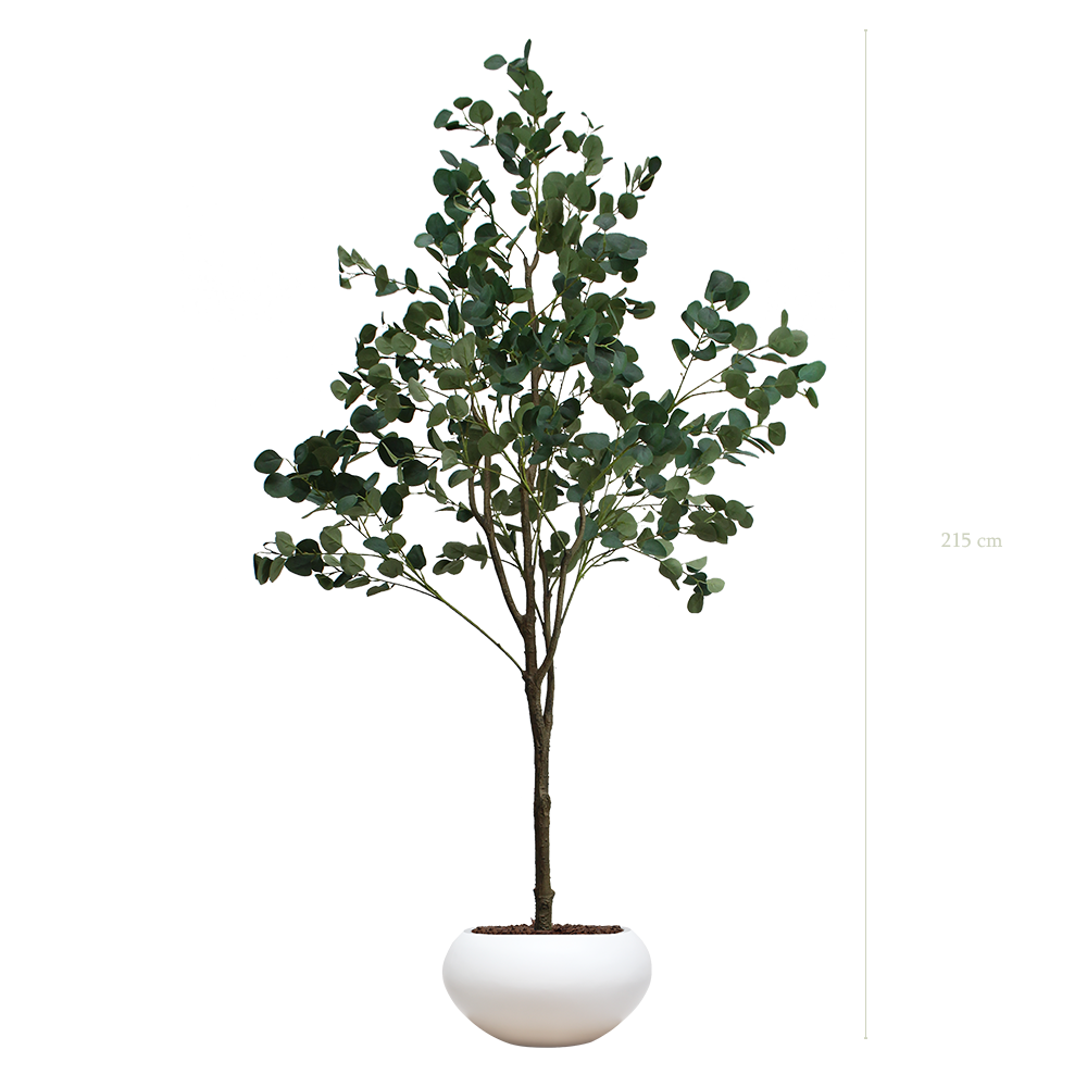 L'Eucalyptus - Pot Ovale Blanc - Artificiel