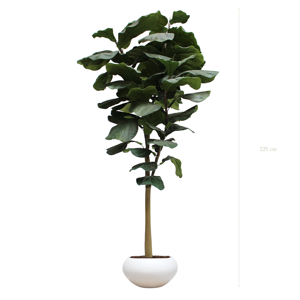 Le Grand Lyrata - Pot Ovale Blanc - Artificiel