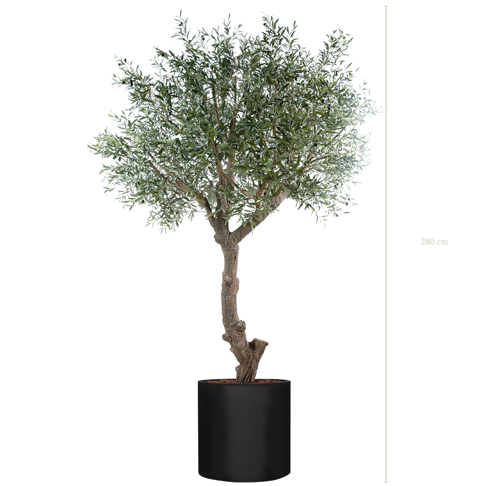 The Tall Olive tree in a black cylinder pot #Artificial