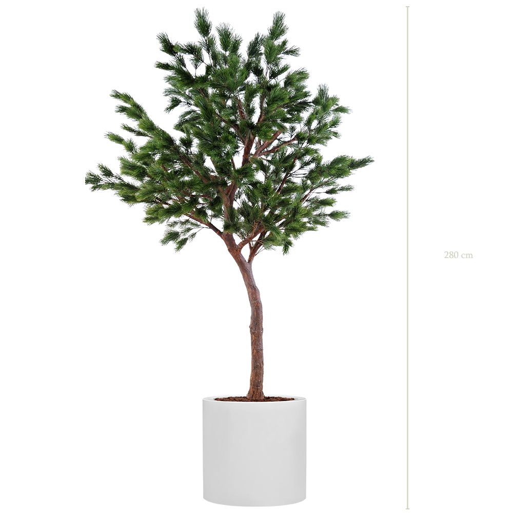 Le Pin 280 - Cylindre Blanc - Artificiel