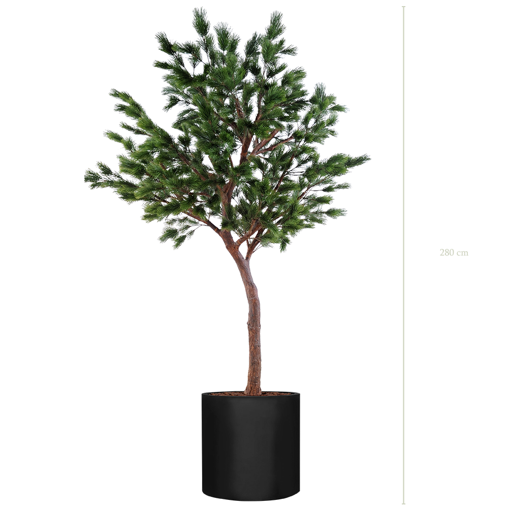 The Tall Pine tree in a black cylinder pot #Artificial