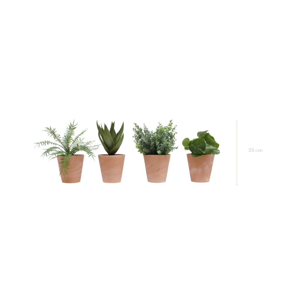 Lot de 4 pots végétalisés - Pot Terre Cuite - Artificiel