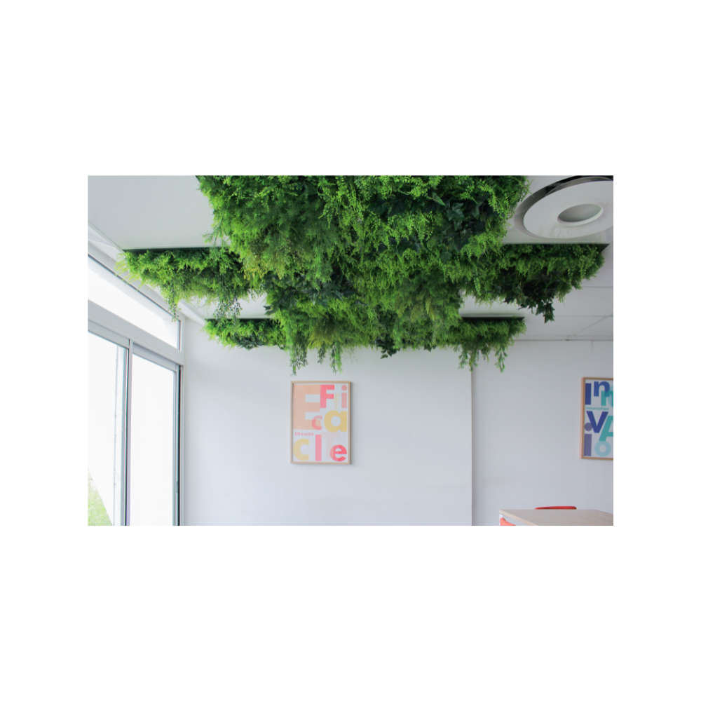 La Dalle de plafond végétale Asparagus - Artificiel