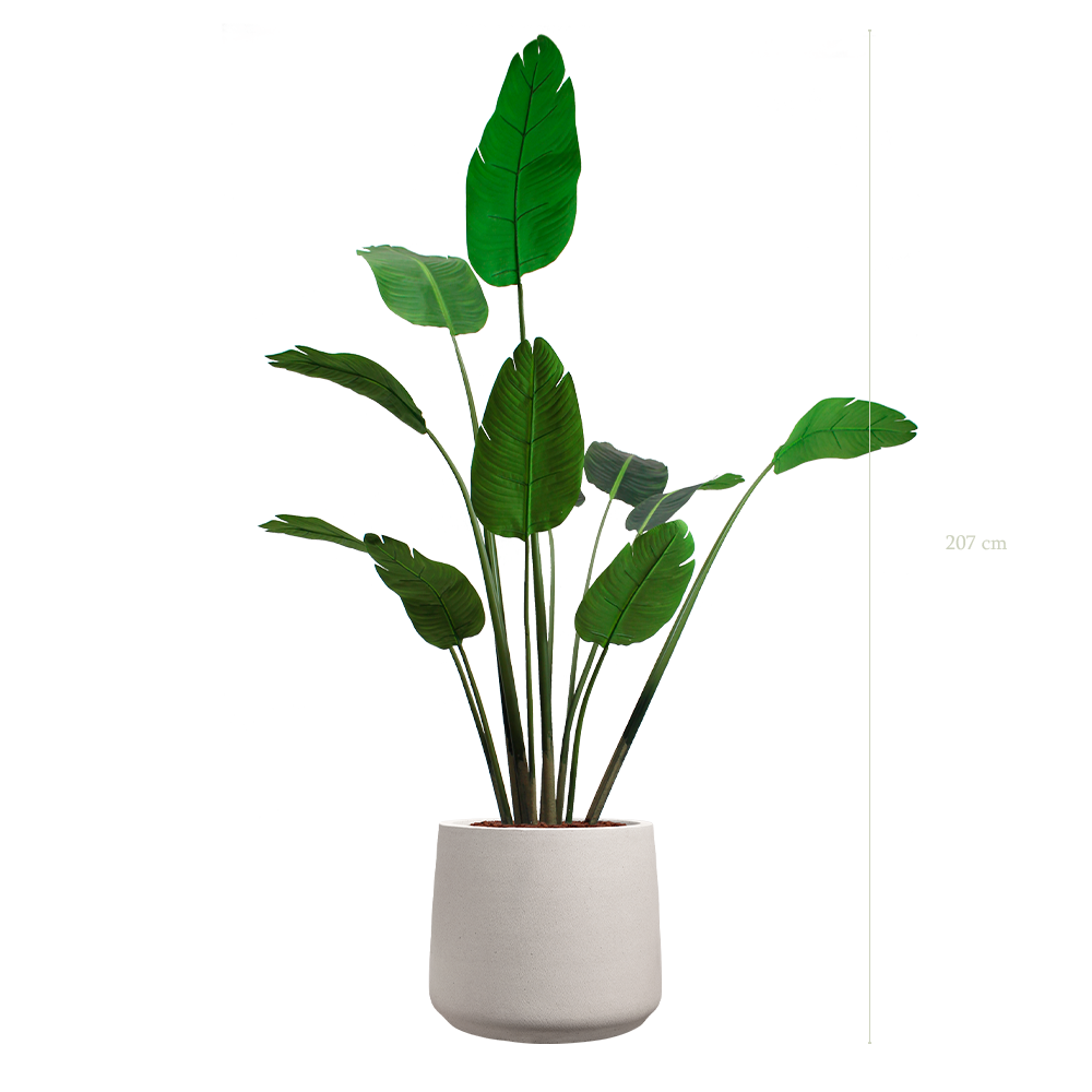 The Banana tree in a grey mineral pot #Artificial
