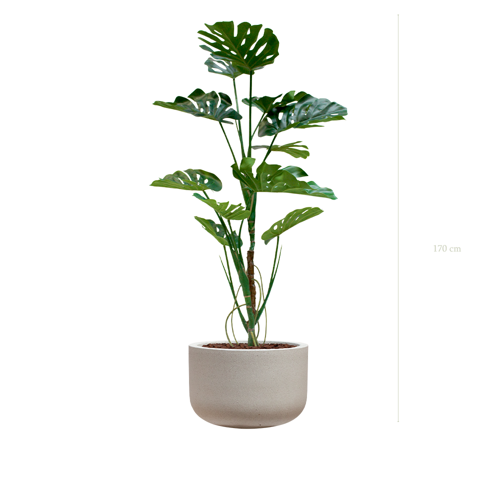 La Monstera - Pot Sable - Artificiel