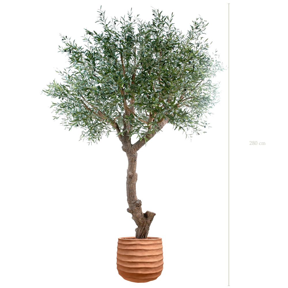 L'Olivier 270 - Pot Terracotta - Artificiel