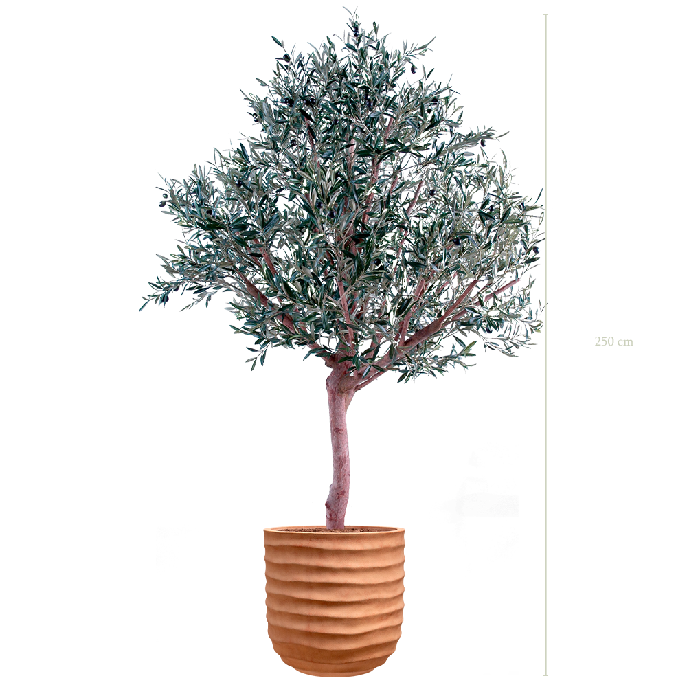 L'Olivier 250 - Pot Terracotta - Artificiel